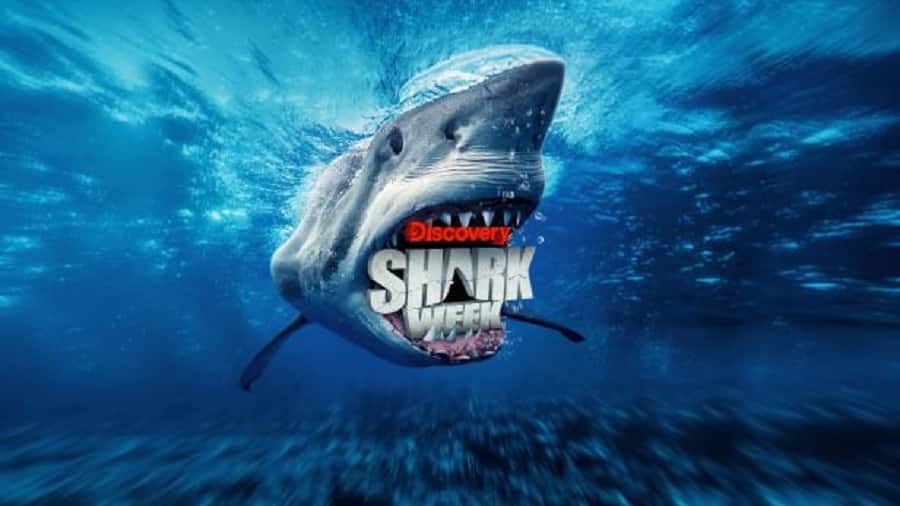 Discovery Channel's Shark Week 2022 Is Coming [Discovery Channel | YouTube]