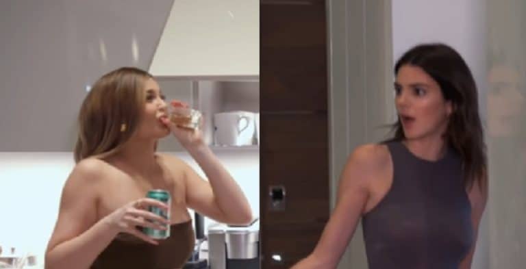 Wait, Are Kylie & Kendall Jenner Feuding? Things Get Shady