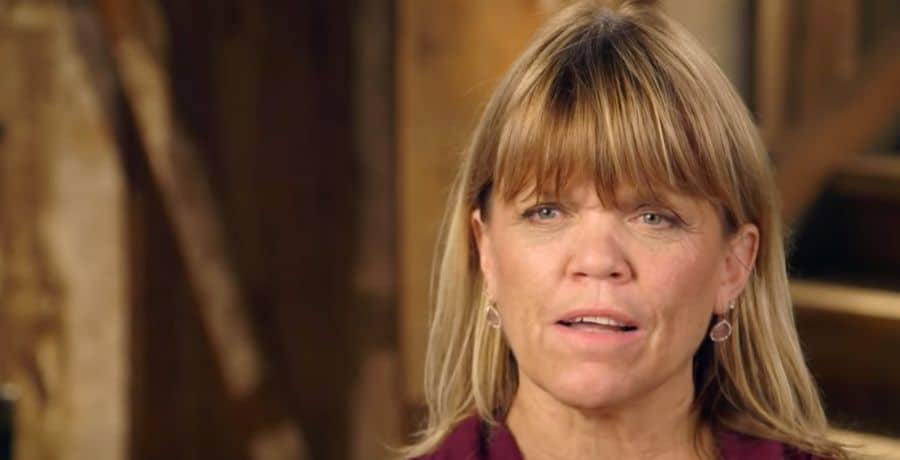 Amy Roloff, LPBW, YouTube