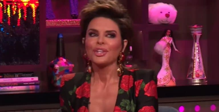 Lisa Rinna Doesn’t Get The Criticism