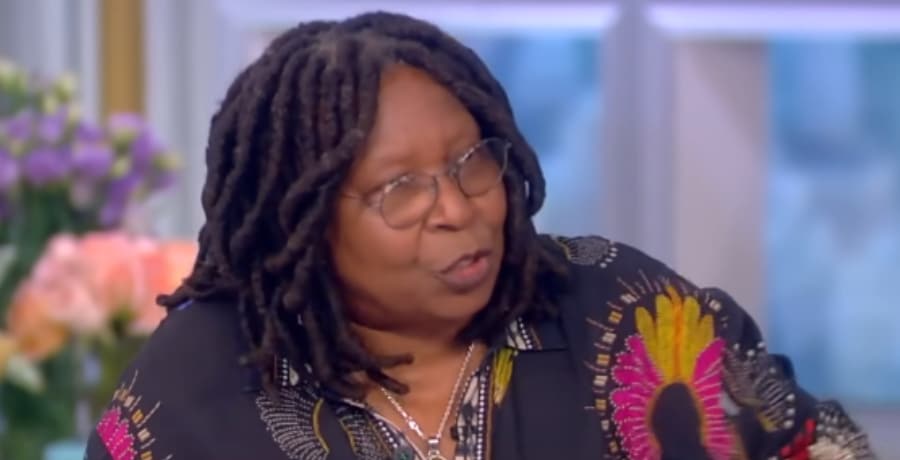 The View: Whoopi Goldberg's Choice Disrespects Viewers [The View | YouTube]