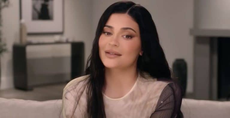 Kylie Jenner Goes Busty & Braless To Promote Sales