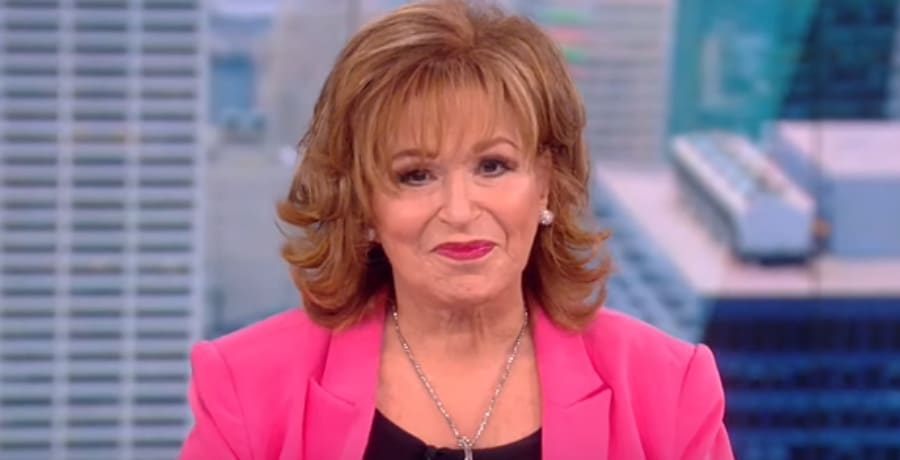 The View Joy Behar [The View | YouTube]