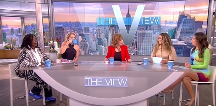 The View Panelists [The View | YouTube]