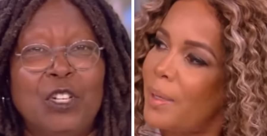 Whoopi Goldberg & Sunny Hostin [The View | YouTube]