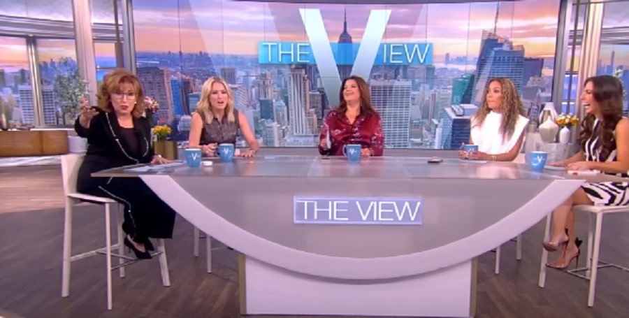 Joy Behar & Panel [The View | YouTube]