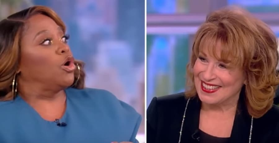 Sherri Shepherd & Joy Behar [The View | YouTube]