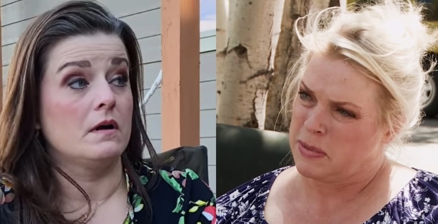 Robyn Brown Says Kody Didn't Have To Help Janelle With RV