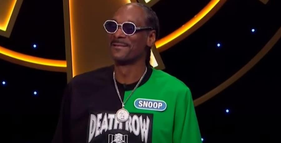 Snoop Dogg Celebrity Wheel of Fortune YouTube