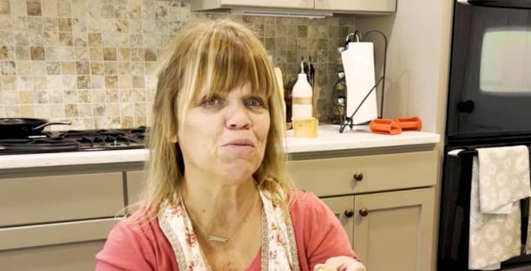 Amy Roloff Shares Favorite Food Has ‘Porcupine’ In It?