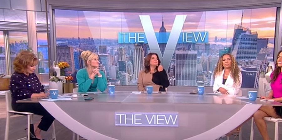 The View Panelists [The View | YouTube]