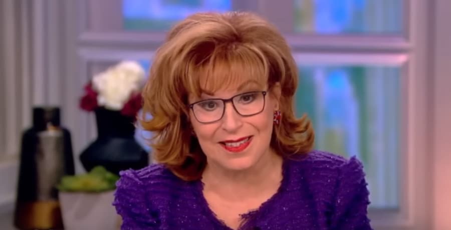 Joy Behar [The View | YouTube]