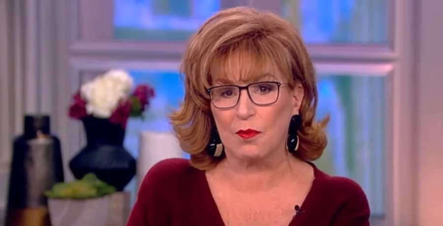 'The View': Joy Behar Enjoying New Role Too Much?