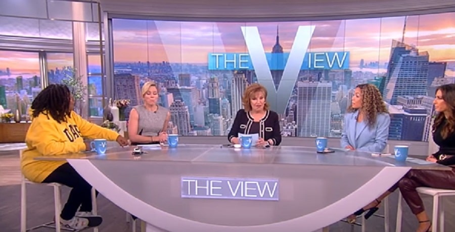 The View Panel [The View | YouTube]