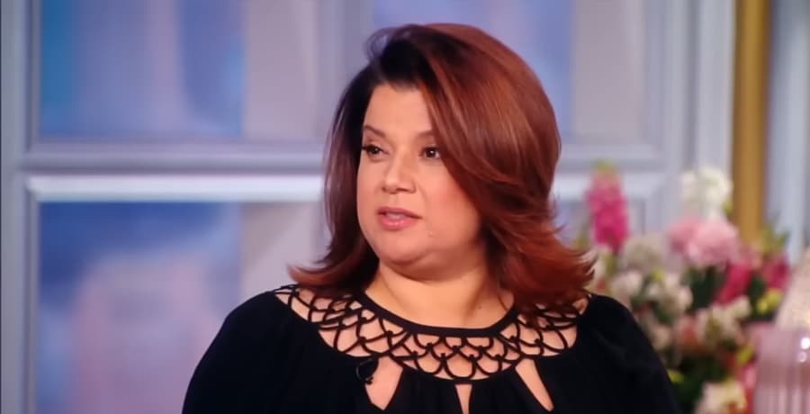 Ana Navarro The View YouTube