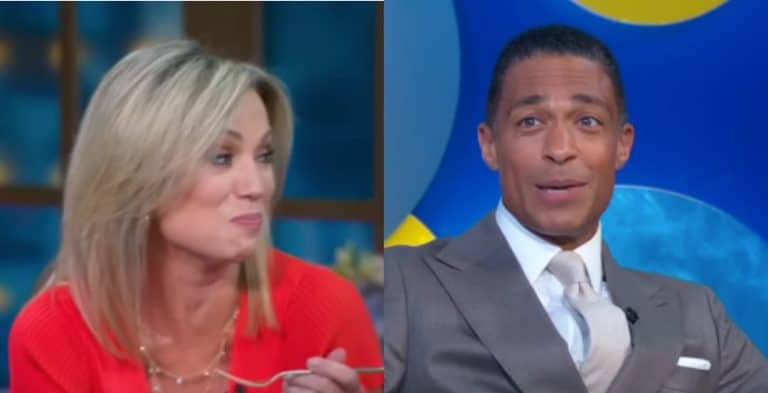 Amy Robach & T.J. Holmes Stick Together Amid Fallout