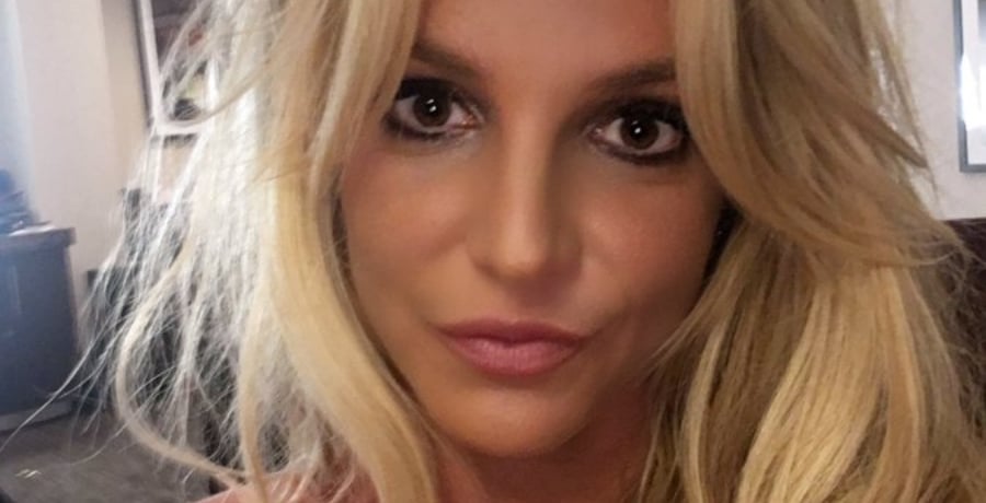Britney Spears Glamorous Selfie [Britney Spears | Instagram]