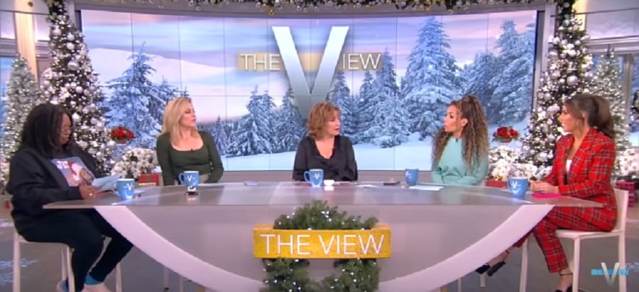 The View Panel [The View | YouTube]