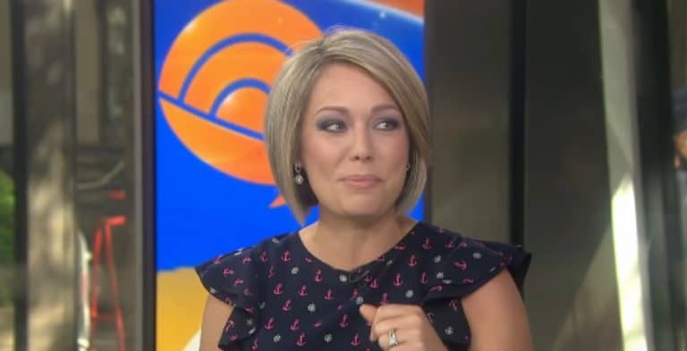 ‘Today’ Fans Distracted By Dylan Dreyer’s Adorable Son