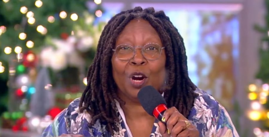 Whoopi Goldberg Hosts 12 Days Of Giveaways [The View | YouTube]