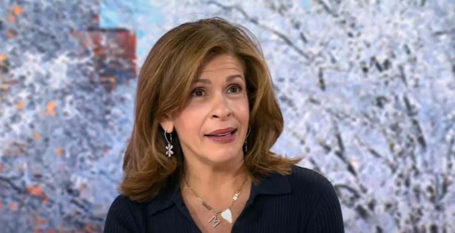 Hoda Kotb speaking on 'Today' - YouTube, TODAY