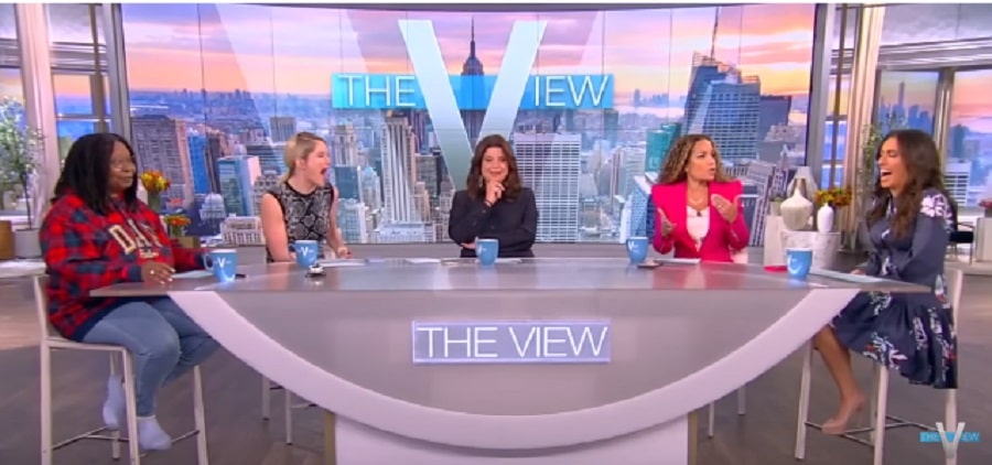 The View Panel [The View | YouTube]