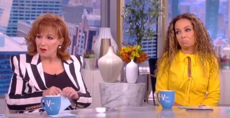 Joy Behar & Sunny Hostin [The View | YouTube]