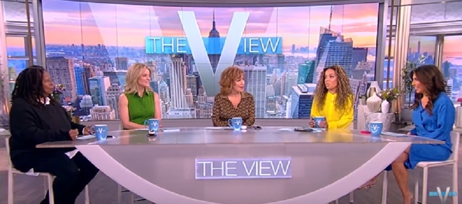 The View Panel [The View | YouTube]