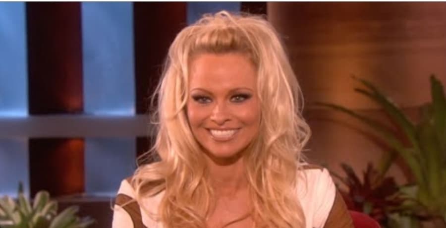 pamela anderson youtube