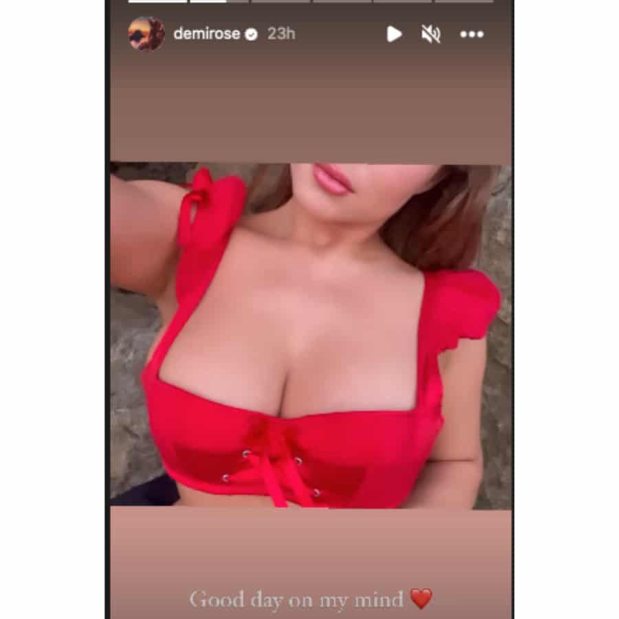Demi Rose In Red Corset [Source: Demi Rose - Instagram Stories]