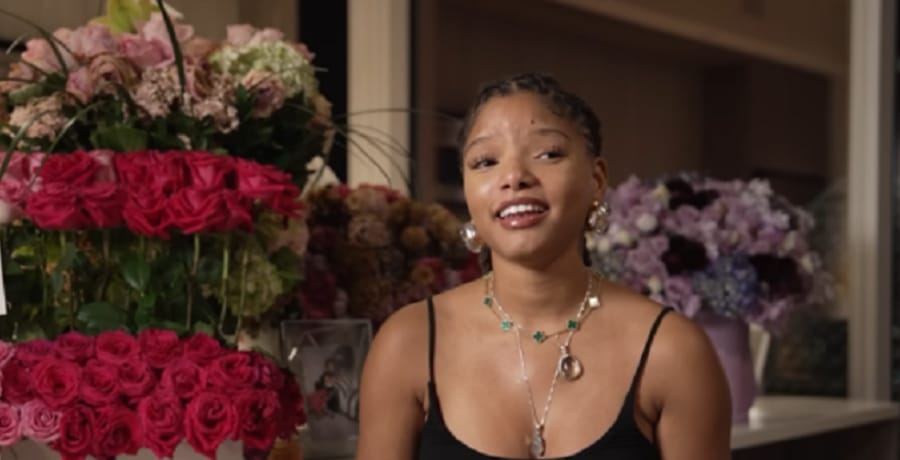 Halle Bailey Q&A Vlog [Source: YouTube]