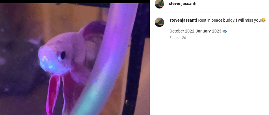 Steven Assanti - Instagram
