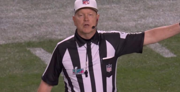Who Was The Super Bowl Referee Fans Think Ruined The Game?