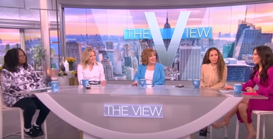 The View Panel [The View | YouTube]