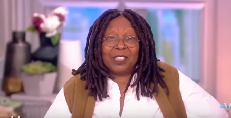 The View Whoopi Goldberg