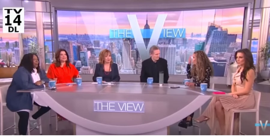 The View Talk To Liam Neeson [Source: YouTube]