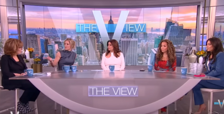 The View Panel [Source: YouTube]