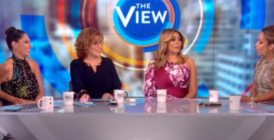 Wendy Williams Joins The View [Source: YouTube]