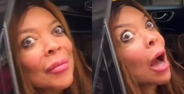 Wendy Williams Scares Fans With Recent Physical Appearance