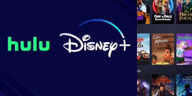 DisneyPlus and Hulu Merger - Instagram