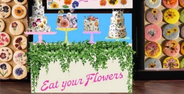 ‘Shark Tank’: Where To Buy Eat Your Flowers
