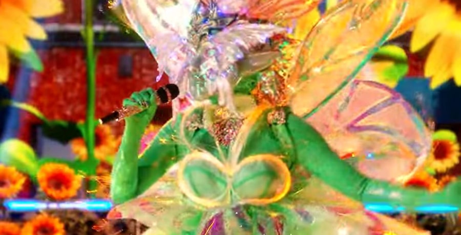 Fairy on The Masked Singer / YouTube