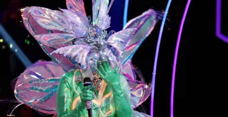 Who Is Fairy On 'The Masked Singer': All The Clues