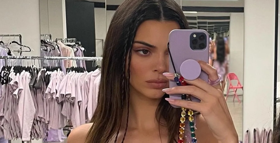 Kendall Jenner Snaps Selfie In Lavender Dress [Source: Kendall Jenner - Instagram Stories]