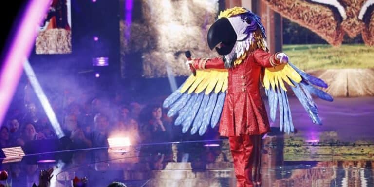 Who Is Macaw On ‘The Masked Singer’: All The Clues