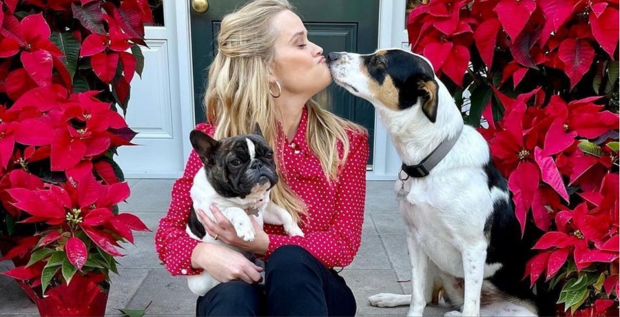 Reese Witherspoon and her dogs on IG