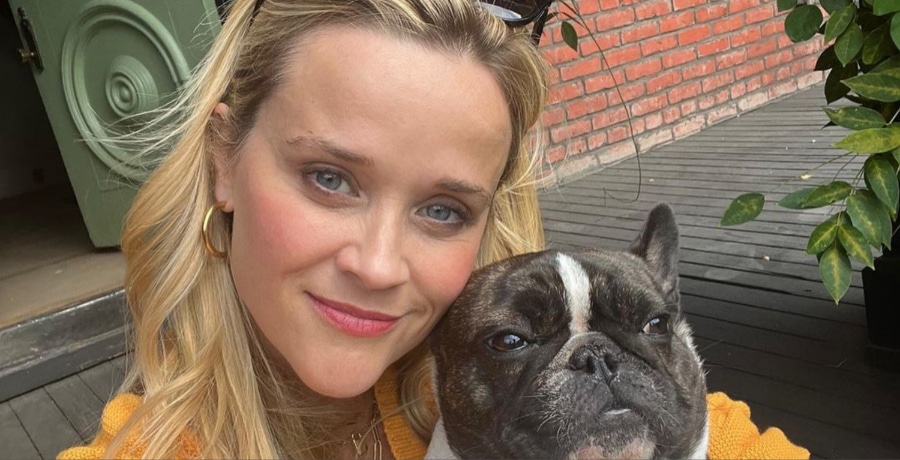 Reese Witherspoon with her dog on IG