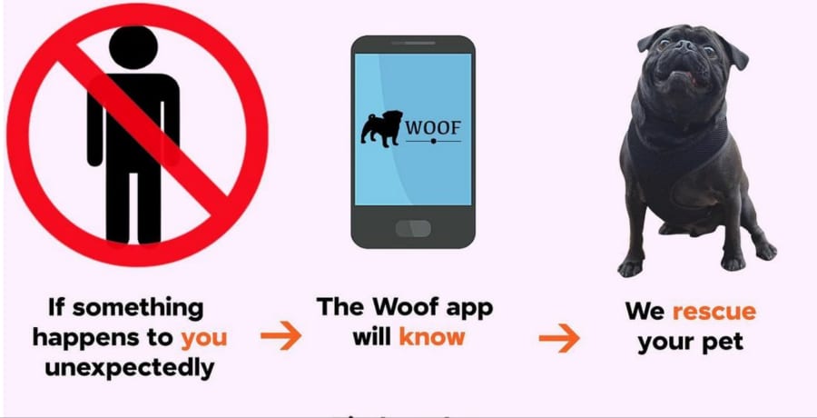 Woof App - Instagram