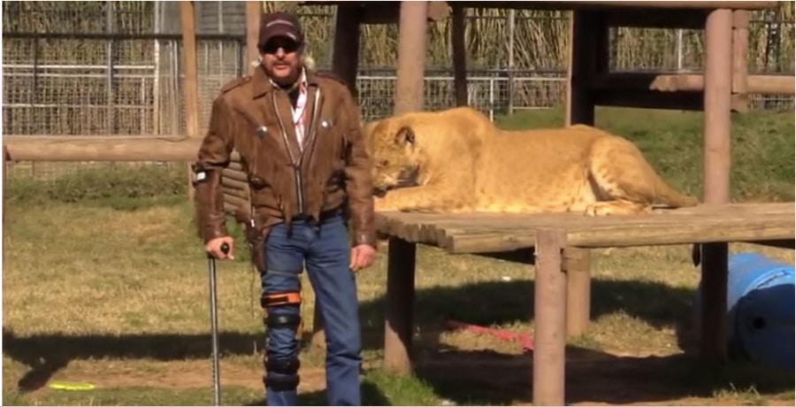 joe exotic tiger king with lion