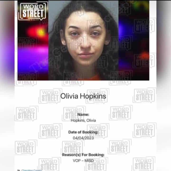 Olivia Hopkins Mug Shot- Kiki and Kibbitz Instagram